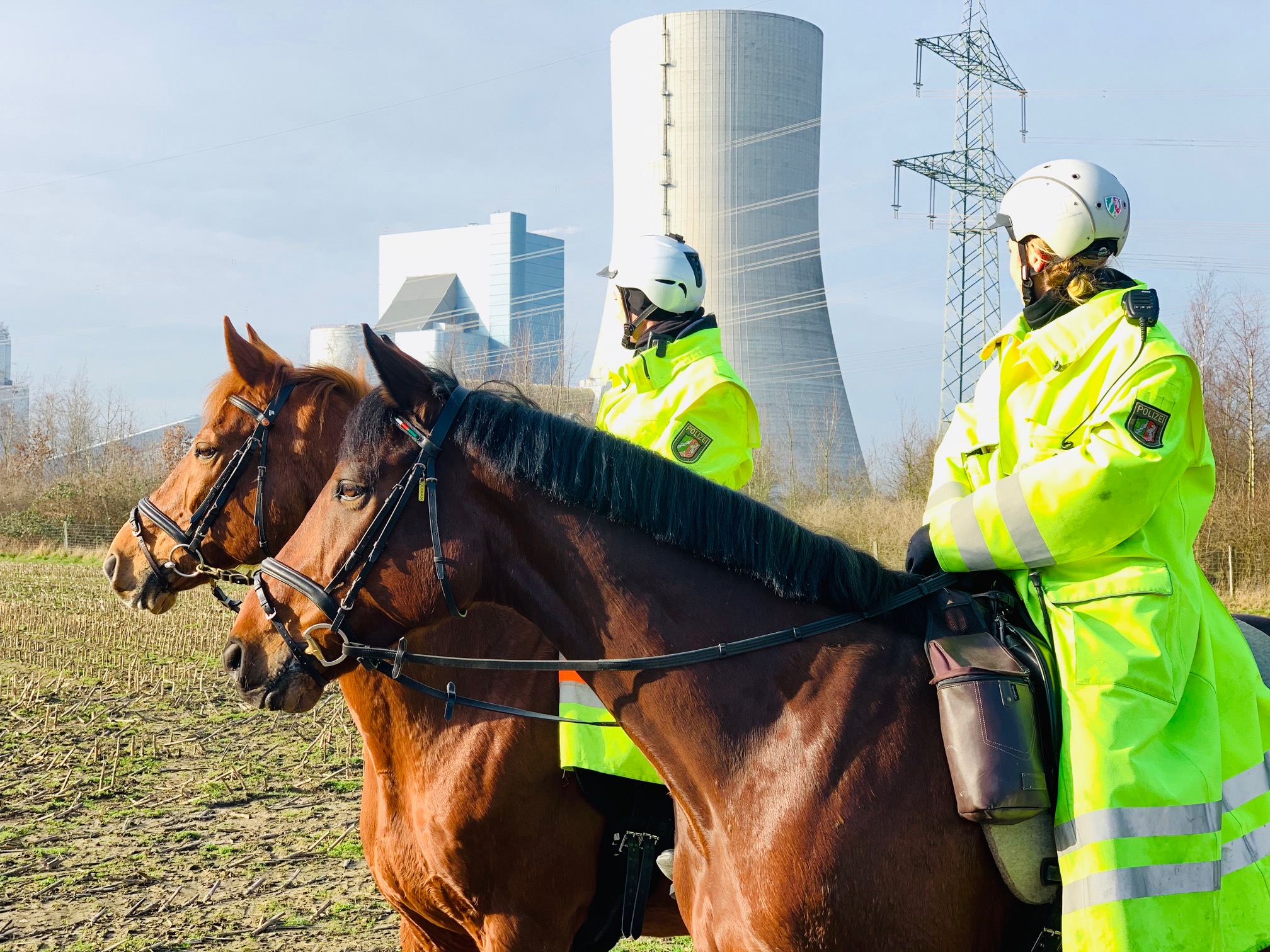 Pferdestaffel am Kraftwerk Datteln 4