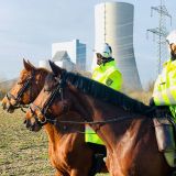 Pferdestaffel am Kraftwerk Datteln 4