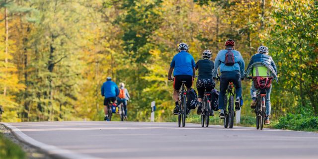 Eine Gruppe Radfahrerinnen und Radfahrer fährt auf einer Straße durch ein Waldgebiet.